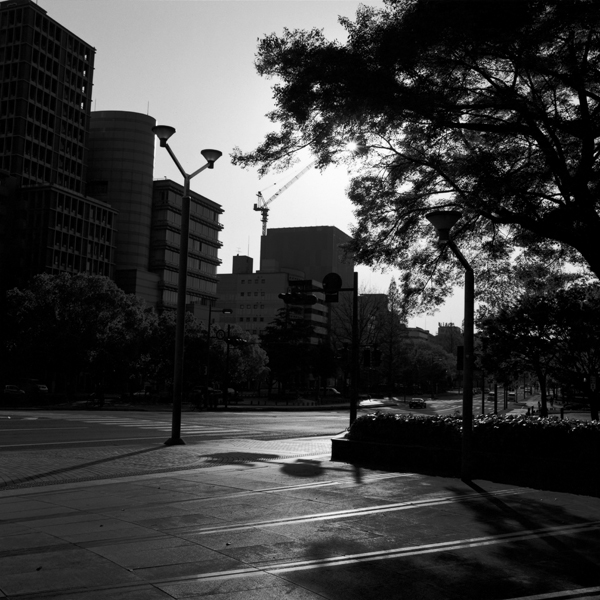 Keiko-sasaoka-park-city