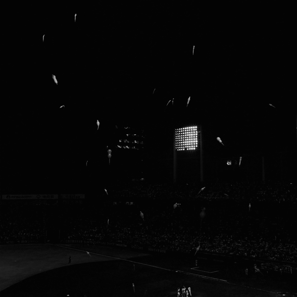 Keiko-sasaoka-park-city